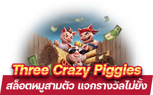 Three Crazy Piggies