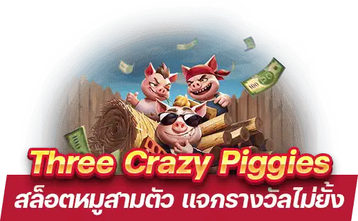 Three Crazy Piggies