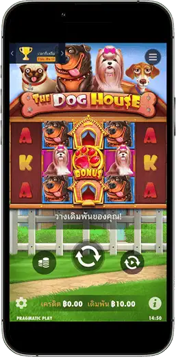 BULLDOG89 เหล่าสุนัขน่ารักในเกม The Dog House อัตราการจ่ายสูงและโบนัสมากมายสำหรับเกมคาสิโนออนไลน์.